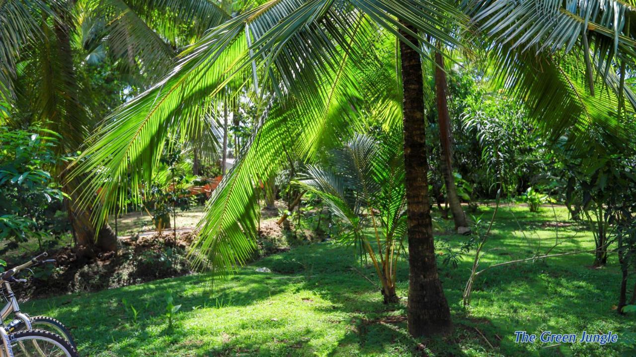 The Green Jungle Dambulla Eksteriør billede