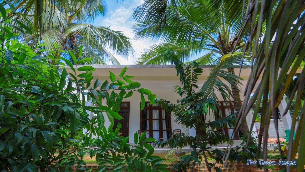 The Green Jungle Dambulla Eksteriør billede